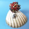 RESERVEE Marilyne, Ballade en mer Chaude