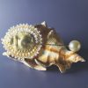 Fibule dentelle Cauris